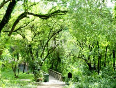Terreno, 1000 m² - Foto 4