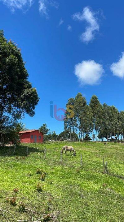 Fazenda - Foto 1
