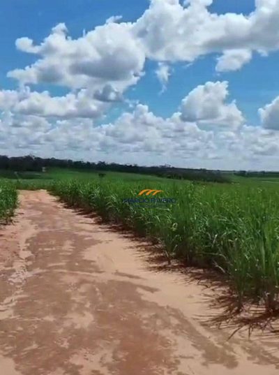 Fazenda, 484 hectares - Foto 4