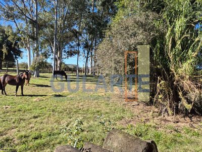 Fazenda, 98 hectares - Foto 2