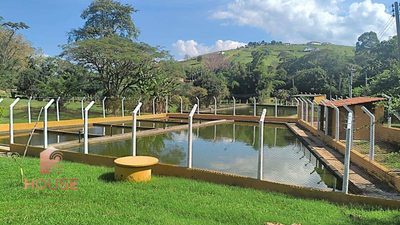 Sítio, 7 quartos, 2 hectares - Foto 4