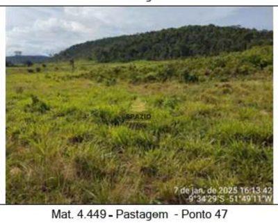 Fazenda, 9680 m² - Foto 3