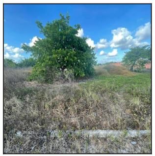 Terreno, 50 m² - Foto 1