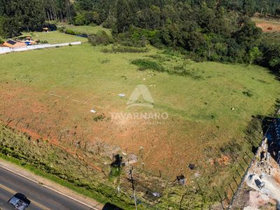 Terreno, 4 hectares - Foto 3