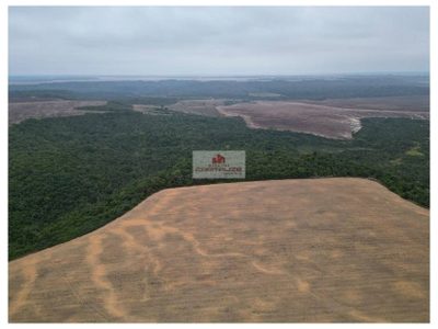 Fazenda, 3566 m² - Foto 1