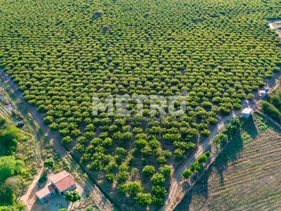 Fazenda - Foto 3