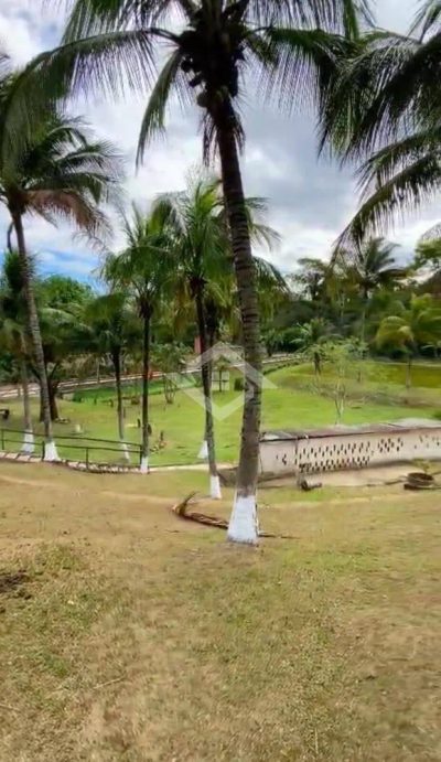 Chácara, 4 quartos, 7 hectares - Foto 4