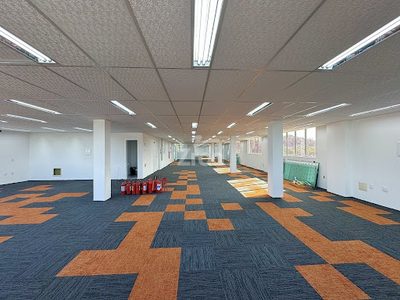 Sala-Conjunto, 446 m² - Foto 4