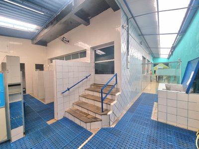 Loja-Salão, 250 m² - Foto 3