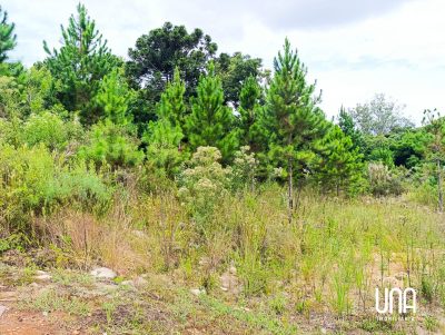 Terreno, 483 m² - Foto 2