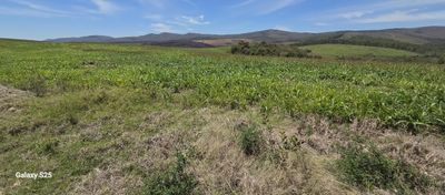 Fazenda, 650 hectares - Foto 4