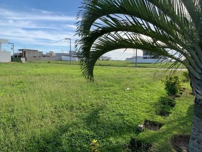 Terreno, 425 m² - Foto 5