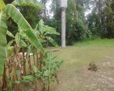 Sítio, 2 quartos, 7 hectares - Foto 3