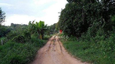 Terreno, 14 hectares - Foto 2