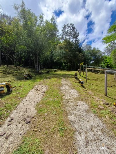 Chácara, 2 quartos, 12000 hectares - Foto 4