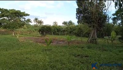 Terreno, 1620 m² - Foto 3