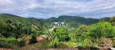 Chácara, 2 quartos, 3500 m² - Foto 4