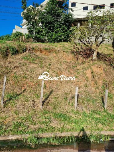 Terreno, 365 m² - Foto 4