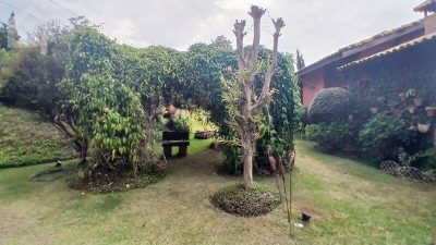 Casa, 4 quartos, 471 m² - Foto 5