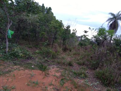 Terreno, 5000 m² - Foto 4