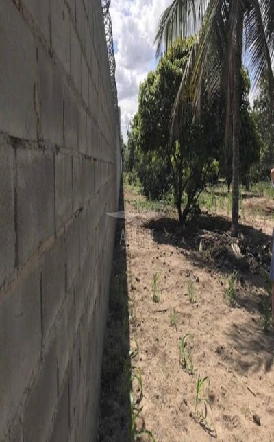 Terreno, 2 hectares - Foto 3