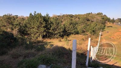 Terreno, 1 hectares - Foto 5
