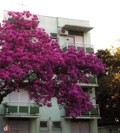 Apartamento, 1 quarto, 47 m² - Foto 4