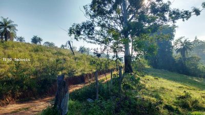 Fazenda, 30 m² - Foto 2