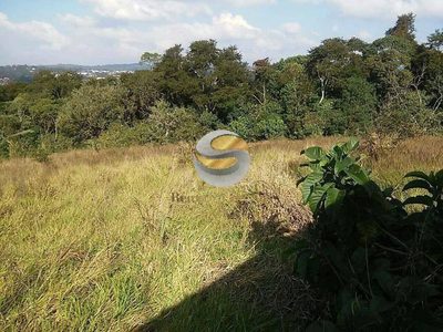Terreno, 5000 m² - Foto 3