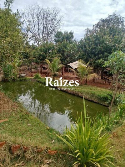 Chácara, 4 quartos - Foto 1