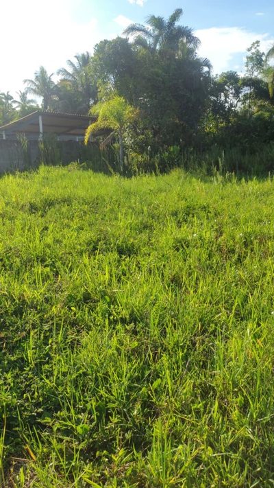 Terreno, 1000 m² - Foto 3