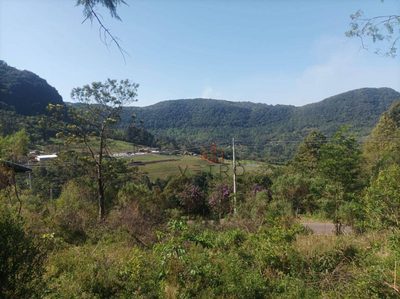 Sítio, 4 quartos, 9000 m² - Foto 1