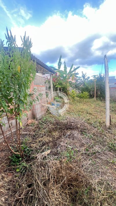Terreno - Foto 3