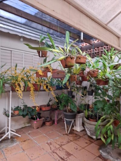 Casa, 2 quartos, 150 m² - Foto 5