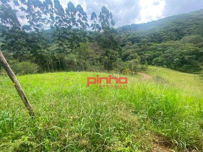 Terreno, 2 hectares - Foto 3