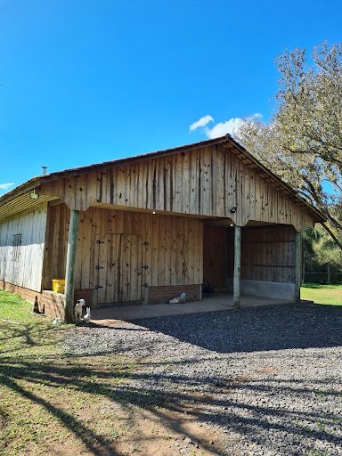 Terreno, 5000 m² - Foto 5