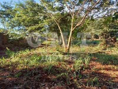 Terreno, 3000 m² - Foto 5