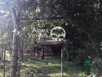 Terreno, 7000 m² - Foto 4