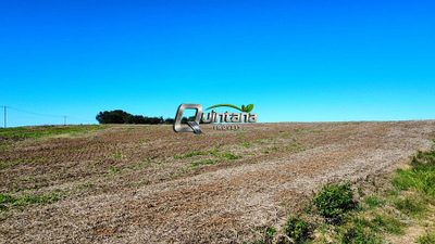 Fazenda, 160 hectares - Foto 3