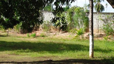 Terreno, 4100 m² - Foto 2
