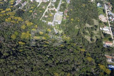 Terreno, 3 hectares - Foto 3