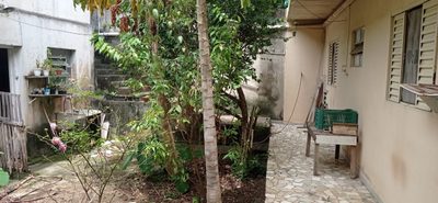 Casa, 4 quartos, 250 m² - Foto 3