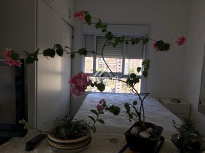 Apartamento, 1 quarto, 45 m² - Foto 5