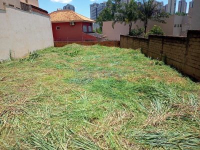 Terreno - Foto 1