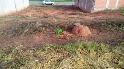 Terreno, 350 m² - Foto 4