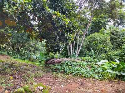 Terreno, 500 m² - Foto 3
