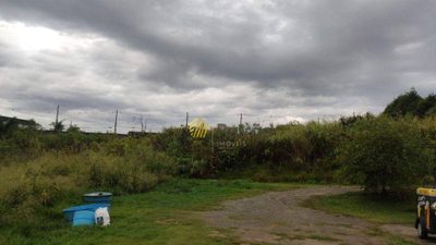 Terreno, 2 hectares - Foto 2