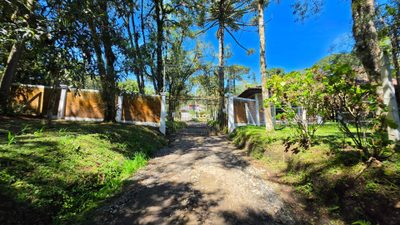 Terreno, 2500 m² - Foto 2
