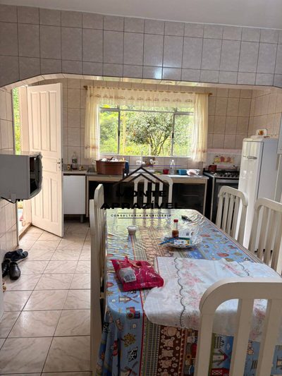 Sítio, 2 quartos, 800 m² - Foto 2