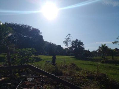 Terreno, 9800 m² - Foto 2